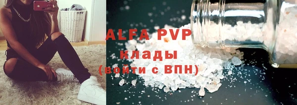 хмурый Аркадак