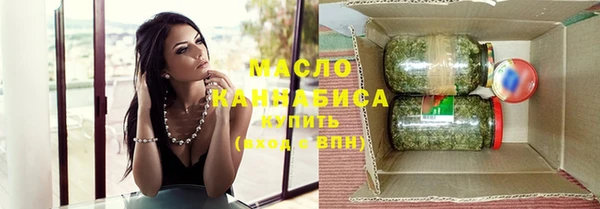 хмурый Аркадак