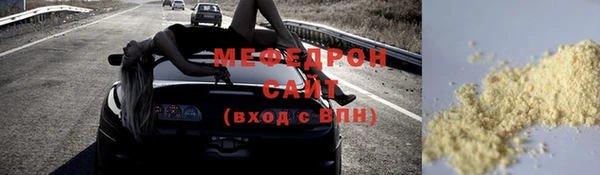 хмурый Аркадак