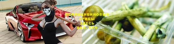 гидра Армянск