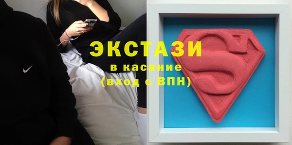 хмурый Аркадак