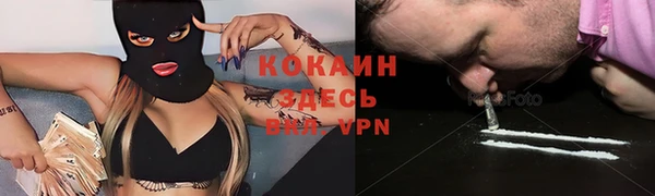 хмурый Аркадак