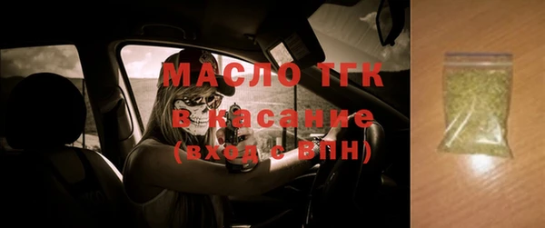 хмурый Аркадак