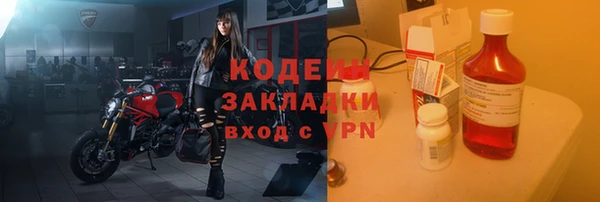 хмурый Аркадак