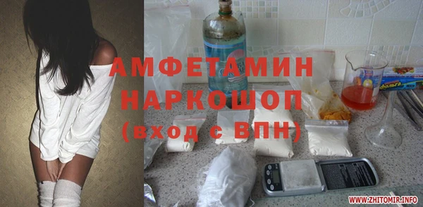 хмурый Аркадак