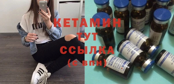 хмурый Аркадак