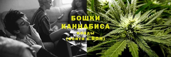 гидра Армянск